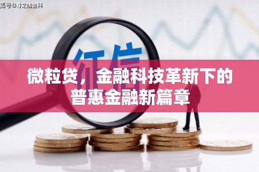 甘孜微粒贷，金融科技革新下的普惠金融新篇章