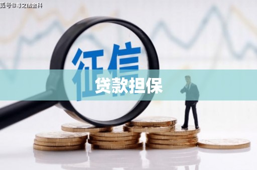 甘孜贷款担保