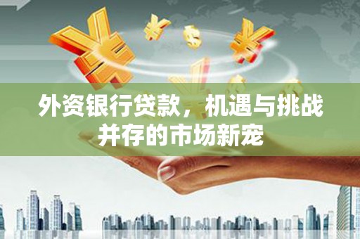 甘孜外资银行贷款，机遇与挑战并存的市场新宠