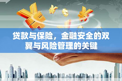 甘孜贷款与保险，金融安全的双翼与风险管理的关键