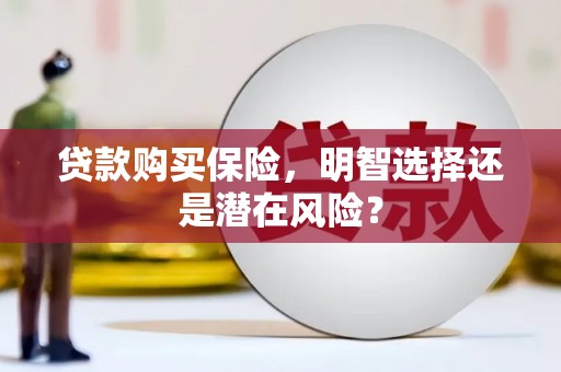 甘孜贷款购买保险，明智选择还是潜在风险？