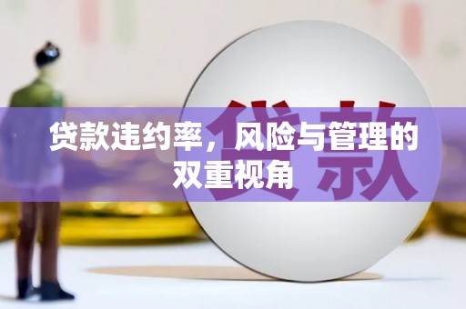 甘孜贷款违约率，风险与管理的双重视角