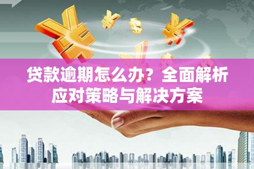 甘孜贷款逾期怎么办？全面解析应对策略与解决方案