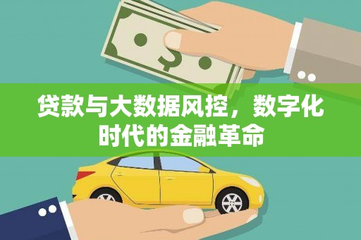 甘孜贷款与大数据风控，数字化时代的金融革命
