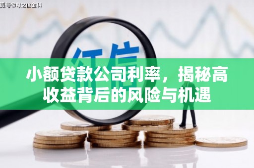甘孜小额贷款公司利率，揭秘高收益背后的风险与机遇