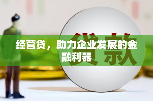 甘孜经营贷，助力企业发展的金融利器