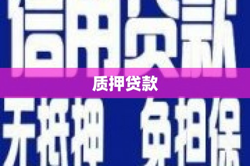 甘孜质押贷款