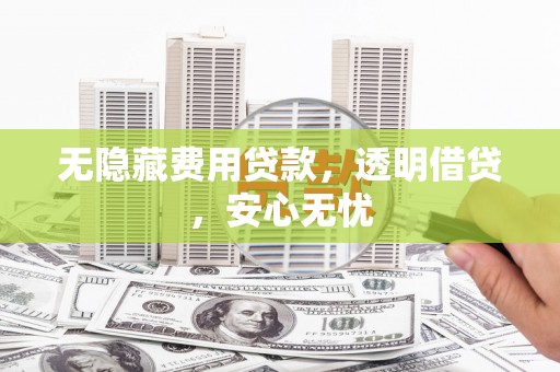甘孜无隐藏费用贷款，透明借贷，安心无忧