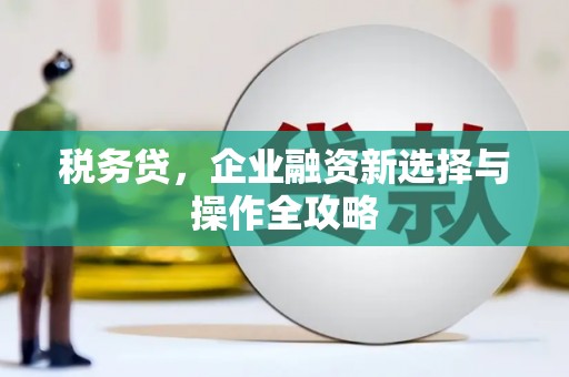 甘孜税务贷，企业融资新选择与操作全攻略