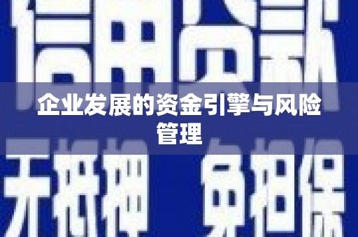 甘孜企业发展的资金引擎与风险管理
