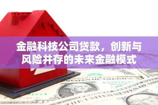 甘孜金融科技公司贷款，创新与风险并存的未来金融模式