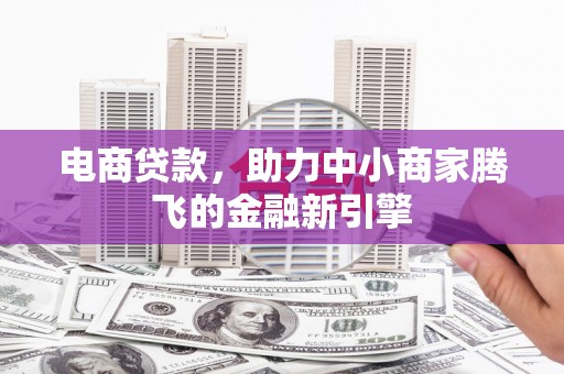 甘孜电商贷款，助力中小商家腾飞的金融新引擎