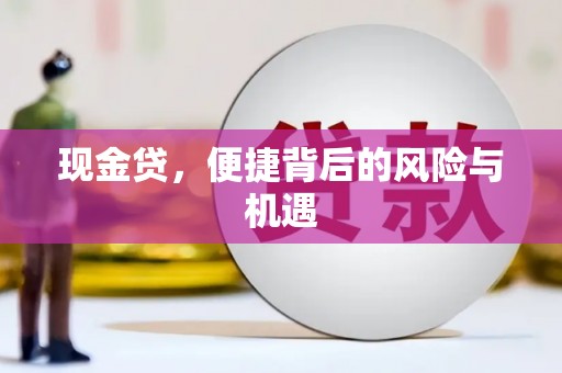 甘孜现金贷，便捷背后的风险与机遇