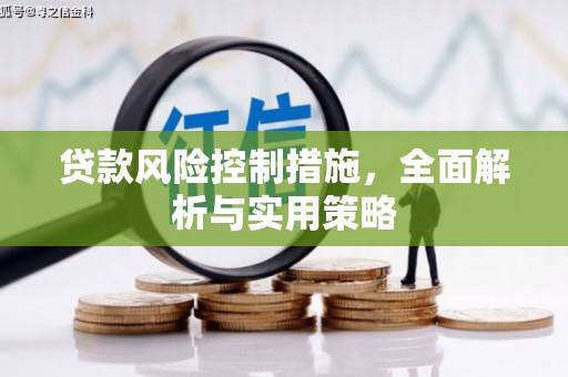 甘孜贷款风险控制措施，全面解析与实用策略