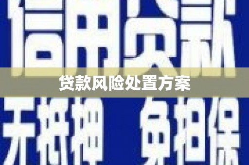 甘孜贷款风险处置方案