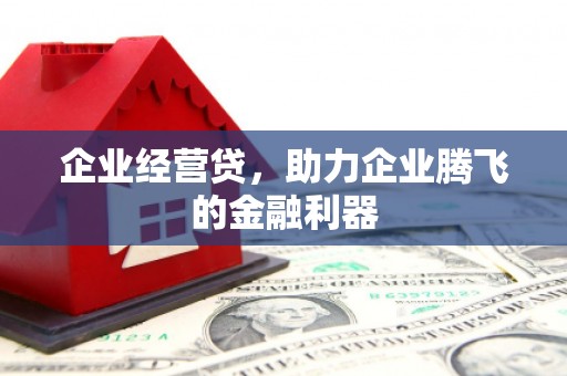甘孜企业经营贷，助力企业腾飞的金融利器