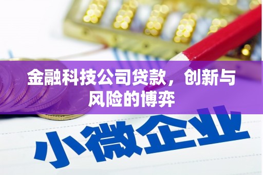 甘孜金融科技公司贷款，创新与风险的博弈