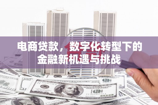 甘孜电商贷款，数字化转型下的金融新机遇与挑战