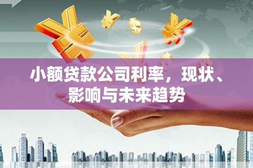 甘孜小额贷款公司利率，现状、影响与未来趋势