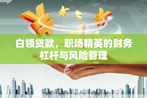 甘孜白领贷款，职场精英的财务杠杆与风险管理