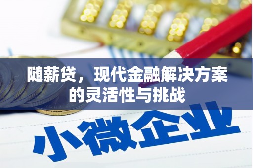 甘孜随薪贷，现代金融解决方案的灵活性与挑战