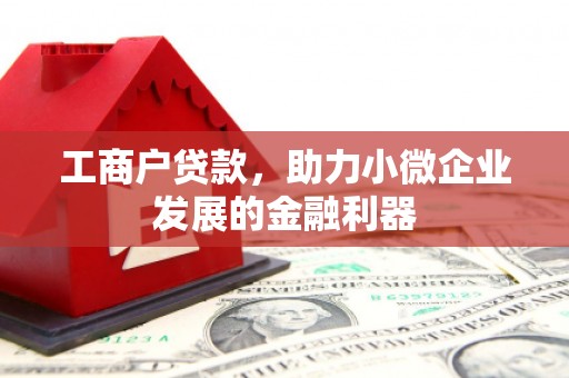 甘孜工商户贷款，助力小微企业发展的金融利器