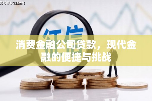 甘孜消费金融公司贷款，现代金融的便捷与挑战