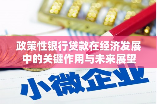 甘孜政策性银行贷款在经济发展中的关键作用与未来展望