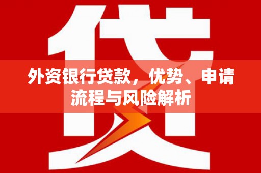 甘孜外资银行贷款，优势、申请流程与风险解析