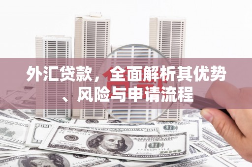 甘孜外汇贷款，全面解析其优势、风险与申请流程