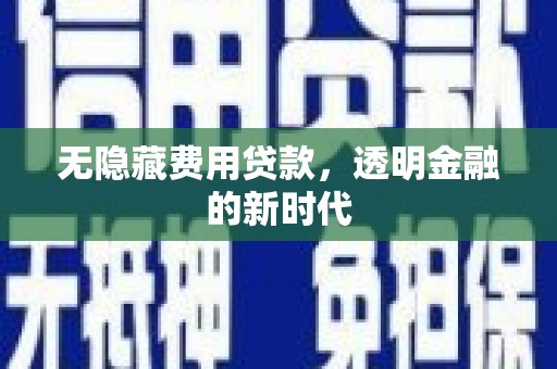 甘孜无隐藏费用贷款，透明金融的新时代