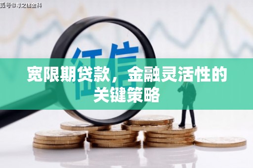 甘孜宽限期贷款，金融灵活性的关键策略