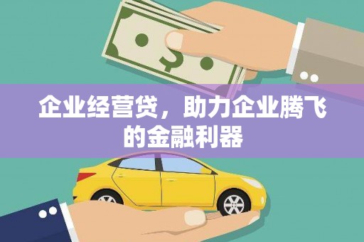 甘孜企业经营贷，助力企业腾飞的金融利器