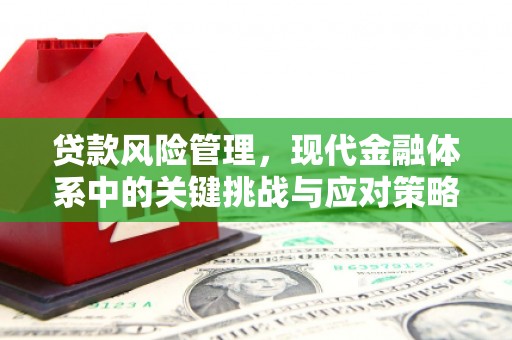 甘孜贷款风险管理，现代金融体系中的关键挑战与应对策略