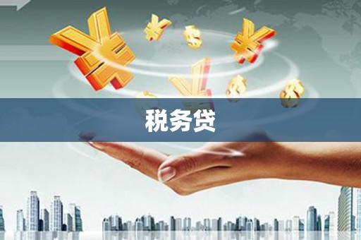 甘孜税务贷
