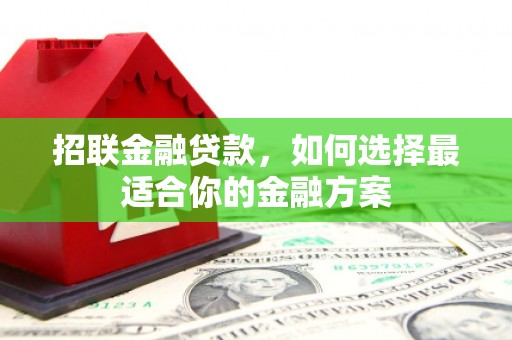 甘孜招联金融贷款，如何选择最适合你的金融方案