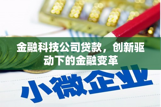 甘孜金融科技公司贷款，创新驱动下的金融变革