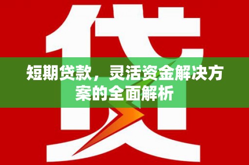 甘孜短期贷款，灵活资金解决方案的全面解析