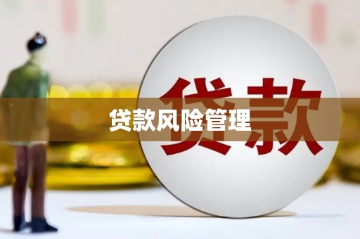 甘孜贷款风险管理