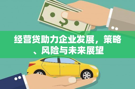 甘孜经营贷助力企业发展，策略、风险与未来展望