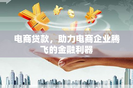 甘孜电商贷款，助力电商企业腾飞的金融利器