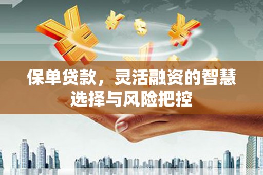 甘孜保单贷款，灵活融资的智慧选择与风险把控