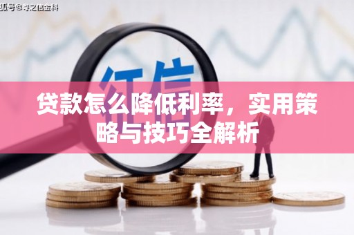 甘孜贷款怎么降低利率，实用策略与技巧全解析