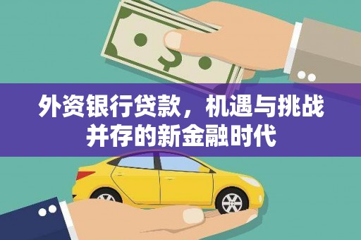 甘孜外资银行贷款，机遇与挑战并存的新金融时代