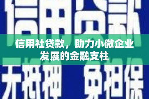 甘孜信用社贷款，助力小微企业发展的金融支柱