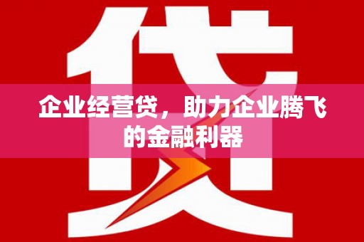甘孜企业经营贷，助力企业腾飞的金融利器
