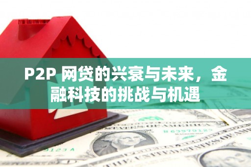 甘孜P2P 网贷的兴衰与未来，金融科技的挑战与机遇