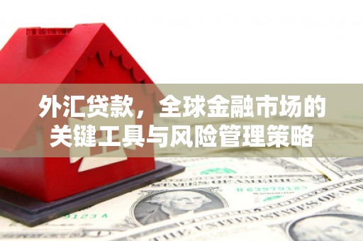 甘孜外汇贷款，全球金融市场的关键工具与风险管理策略