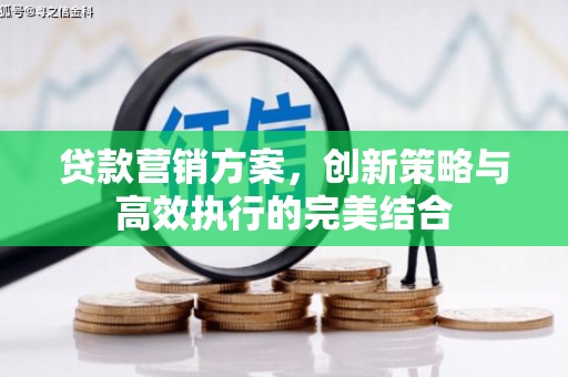 甘孜贷款营销方案，创新策略与高效执行的完美结合