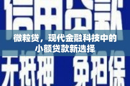 甘孜微粒贷，现代金融科技中的小额贷款新选择